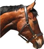 Covalliero Lederen Halster Zwart Cob