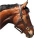 Covalliero Lederen Halster Zwart Cob