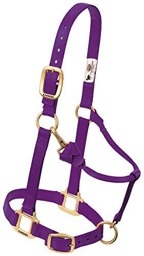 Weaver Leather Nylon Miniatuur Paard Verstelbare Halter Paars