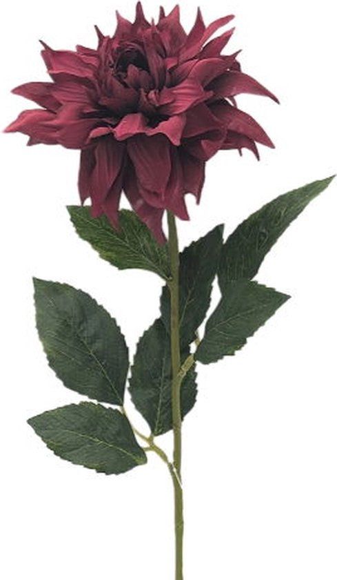 Buitengewoon Boet Buitengewoon de Boet Kunstbloem dahlia boroodeaux, 58 cm