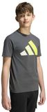 Adidas T-shirt katoen kind Essentials Boy Love