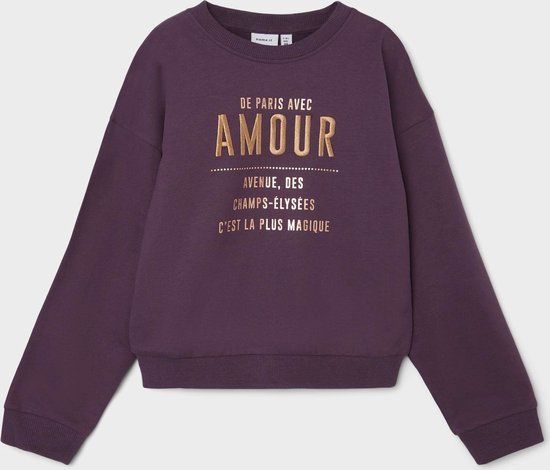 Name It NKFRAMOUR LS SWEAT BOX BRU Meisjes Trui - Hortensia - Maat 116