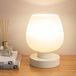 Merkloos / Sans marque Touch Nachtkastje Lamp – Kleine Bedlamp met Witte Glazen Kap – 3-Niveau Dimbaar LED voor Kleine Ruimtes