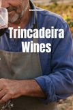 Trincadeira Wines
