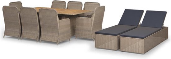 vidaXL 11-delige Tuinset poly rattan bruin