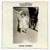 Bertus Distributie Amplifier - Echo Street