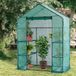 Lendo Online Serre de jardin avec 3 étagères et housse imperméable en PE 143x73x195cm acier vert