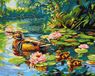 Ideyka Tableau, peinture par numéro, 40x50. Idée pour un cadre