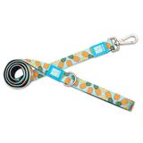 Max & Molly Sweet Pineapple hondenriem, maat M