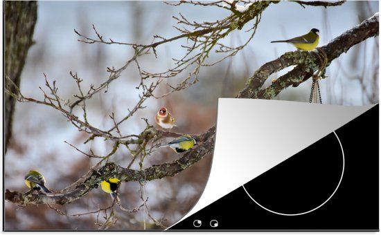 KitchenYeah® Inductie beschermer 77x51 cm - Vogelhuisje met vogels - Inductie kookplaat accessoire - Multicolor
