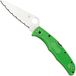 Spyderco Pacific Salt 2 Lockback Green