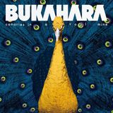 Canaries Bukahara - Canaries In A Coalmine (LP)