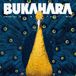 Canaries Bukahara - Canaries In A Coalmine (LP)