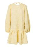 PIECES - PCGRETCHEN LS SHORT DRESS D2D DMO - Dames - Mini jurken
