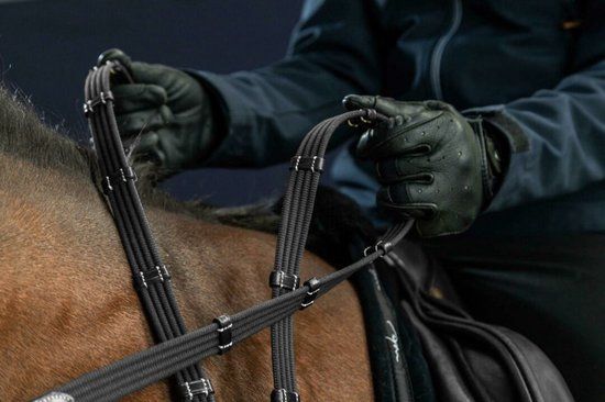 Dy on 5/8 Web Reins With 9 Leather Loops - Black - Cob