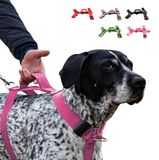 Collier avec poignée pour grands chiens, doté d'un système anti-traction