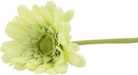 DK Design Kunstbloem Gerbera - 72cm - Lichtgroen