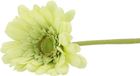 DK Design Kunstbloem Gerbera - 72cm - Lichtgroen