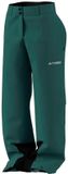 Adidas Terrex Multi 2 Layer Climaproof Insulated Broek Groen M Vrouw