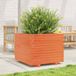 Maison Exclusive - Pot de fleurs pour jardin, brun foncé, 60x60x49,5 cm, bois de pin massif
