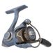 Pflueger President Spinning Visserij-reel, maat