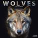 Avonside Wolven Kalender 2027