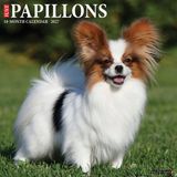 Willow Creek Press Papillons 2027 12 X 12 Wall Calendar