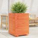 Maison Exclusive - Pot de fleurs pour le jardin, brun foncé, 50 x 50 x 72 cm, bois de pin massif