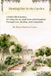 Meeting Her in the Garden: A Faith-Filled Journey of Caring for an Adult Nonverbal Daughter Through Loss, Healing, and Connection