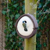 CJ Wildlife Nestkast - Alicante - Woodstone Vogelhuisje - Bruin
