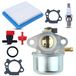 Solidchoice - Kit de carburateur pour tondeuse à cheveux équipée d'un moteur Briggs & Stratton