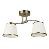 Levitantes Verlichting, Afbeelding