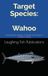 Target Wahoo: Unlocking the Secrets of Speed and Power in Offshore Fishing