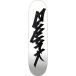 Zoo York Skateboard Deck Classic Tag (8" - Wit)