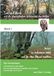 Tom und Anna und die phantastischen Geheimnisse des Waldes: Verirrt im verbotenen Wald ... und die alten Bäume erzählen. (Band 1)