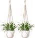 Merkloos Macramé Plantenhanger - Style bohème en corde de coton avec perles en bois - Pour intérieur et extérieur - Beige, 89 cm, 2 pièces