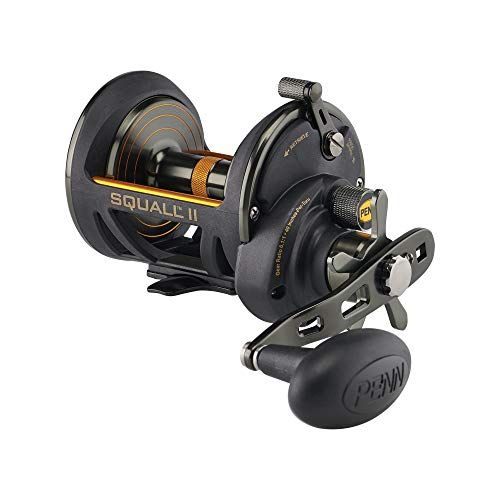 Penn Squall II Star Drag - SQLII40SD - Zwart Goud