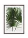Komar Fotolijst hout Stone Grey met Art Poster "Palmtree Leaves" als set - 50x70 cm