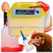 Incubateur, 112 œufs, abreuvoir pour alimentation
