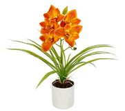 Flair Flower Kunstorchidee in pot, 40 cm, kunstmatige orchidee, Phalaenopsis, bruiloftsdecoratie, zijden bloem, echt gevoel, tafeldecoratie