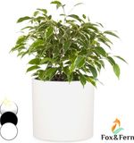Fox & Fern Bloempot buitenpot vezelsteen in/outdoor Wit Halfrond