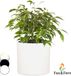 Fox & Fern Bloempot buitenpot vezelsteen in/outdoor Wit Halfrond