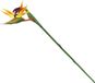 Merkloos Kunstbloem Strelitzia - 81 cm - Oranje