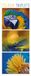 Colour Korsch Verlag Colour Triplets 2027