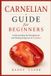 Carnelian Bounce Rank Crystal Guide for Beginners - Carnelian Guide for Beginners