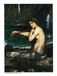 John William Waterhouse Reproduction d'art - A Mermaid 60x80cm