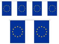 Merkloos / Sans marque Europa Vlaggetjes vlaggenlijn slinger - 900 cm - polyester - binnen/buiten - versiering/feestartikelen