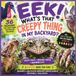 Eek! What's That Creepy Thing in my Backyard?
