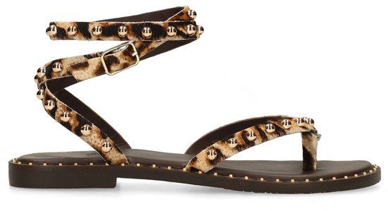 Sacha - Dames - Leopard sandalen met goudkleurige studs - Maat 41