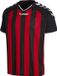 Hummel Stay Authentic Striped Jersey Korte Mouw Katoen Unisex Volwassenen Evergreen/Wit